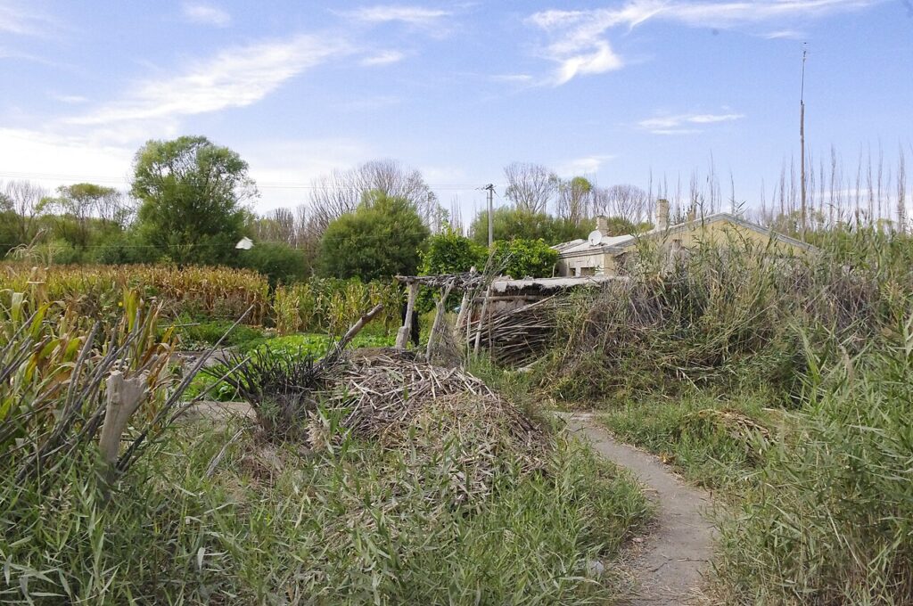 Wide landscape of Xinjiang